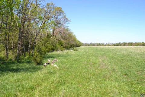 Tiny photo for 00000 E 333rd St, Melvern, KS 66510 (MLS # 243693)