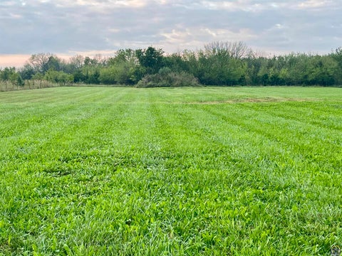 Tiny photo for 3139 E 293rd St, Melvern, KS 66610 (MLS # 246767)