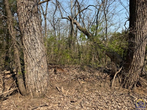 Tiny photo for 000 S Morrill Rd, Scranton, KS 66537 (MLS # 243847)