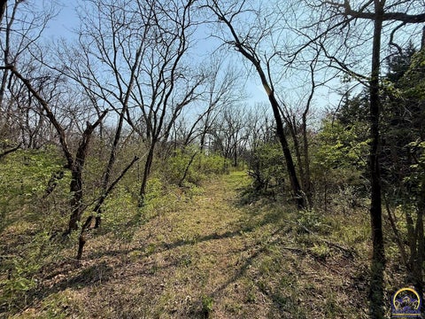Tiny photo for 000 S Morrill Rd, Scranton, KS 66537 (MLS # 243847)