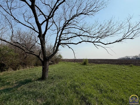 Tiny photo for 000 S Morrill Rd, Scranton, KS 66537 (MLS # 243847)