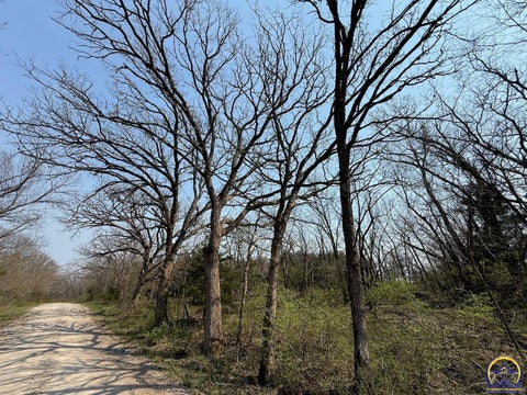 Tiny photo for 000 S Morrill Rd, Scranton, KS 66537 (MLS # 243847)