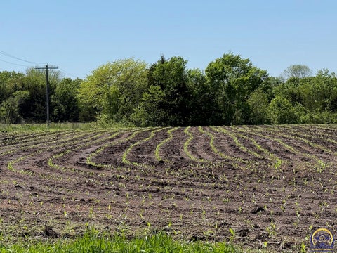 Tiny photo for 0 S Morrill Rd, Scranton, KS 66537 (MLS # 244190)