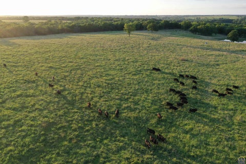 Tiny photo for 00000 S Shawnee Heights Rd, Quenemo, KS 66528 (MLS # 246319)