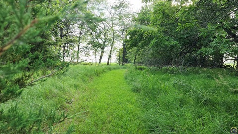 Tiny photo for 12212 257th Ln, Holton, KS 66436 (MLS # 246637)