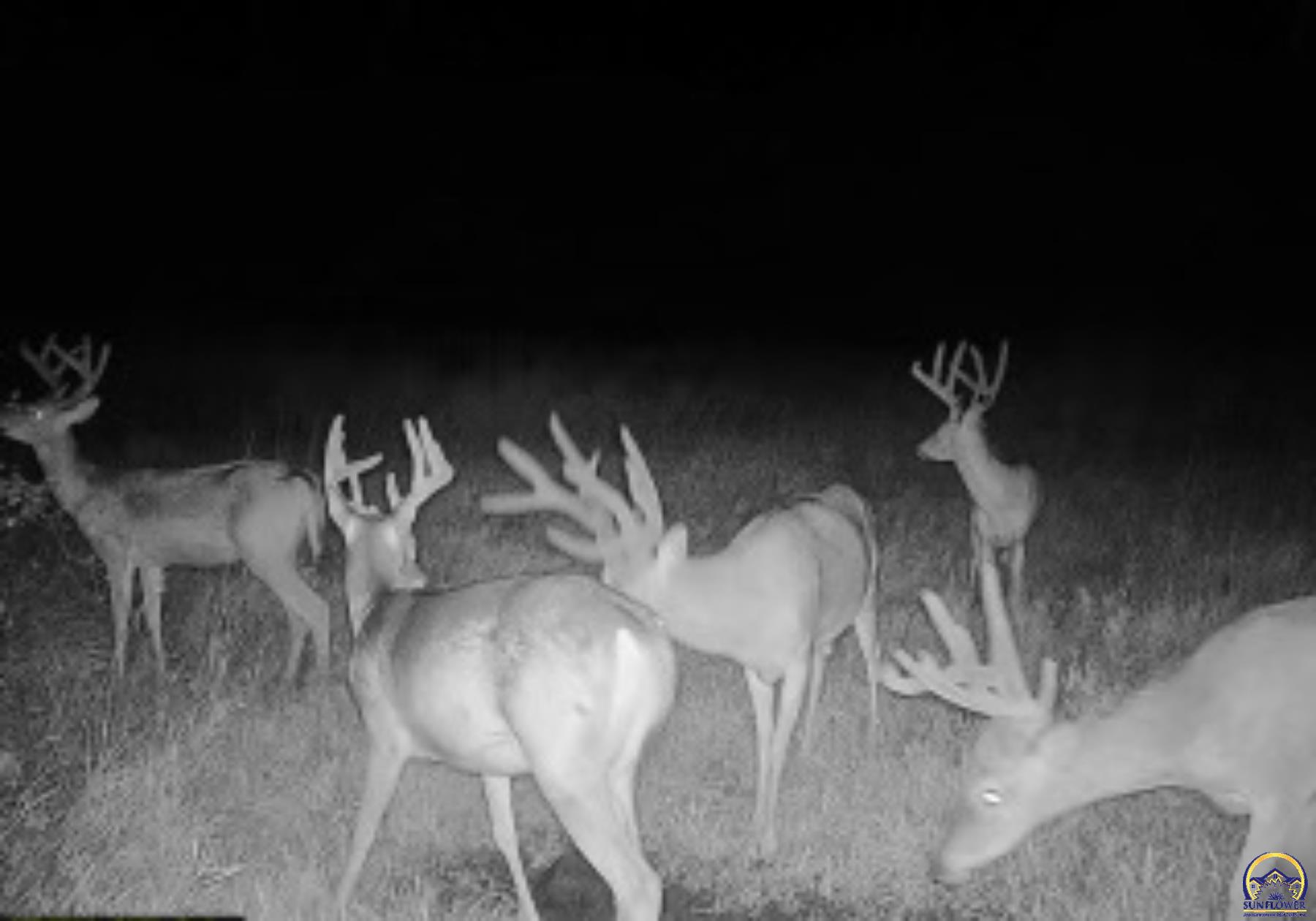 Berryton, Kansas 66409, United States, ,Residential,Pending,54765