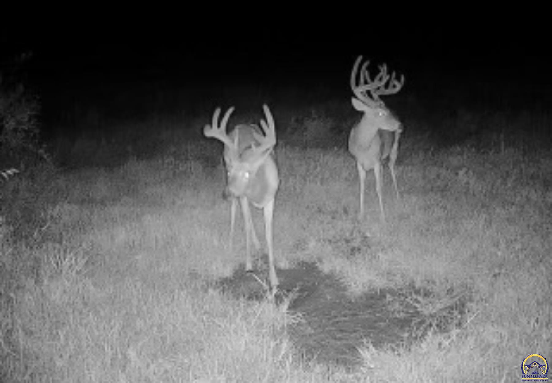 Berryton, Kansas 66409, United States, ,Residential,Pending,54765