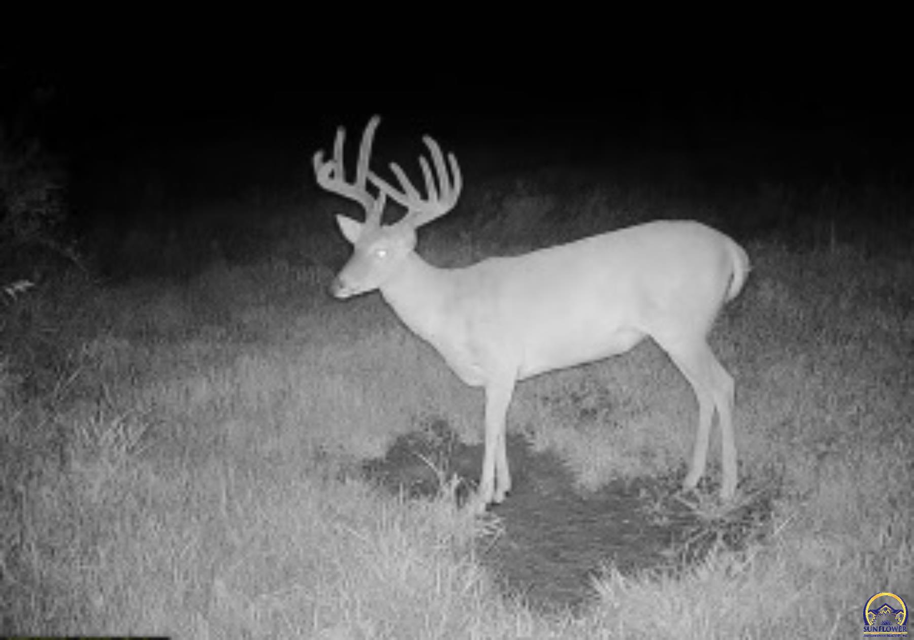 Berryton, Kansas 66409, United States, ,Residential,Pending,54765