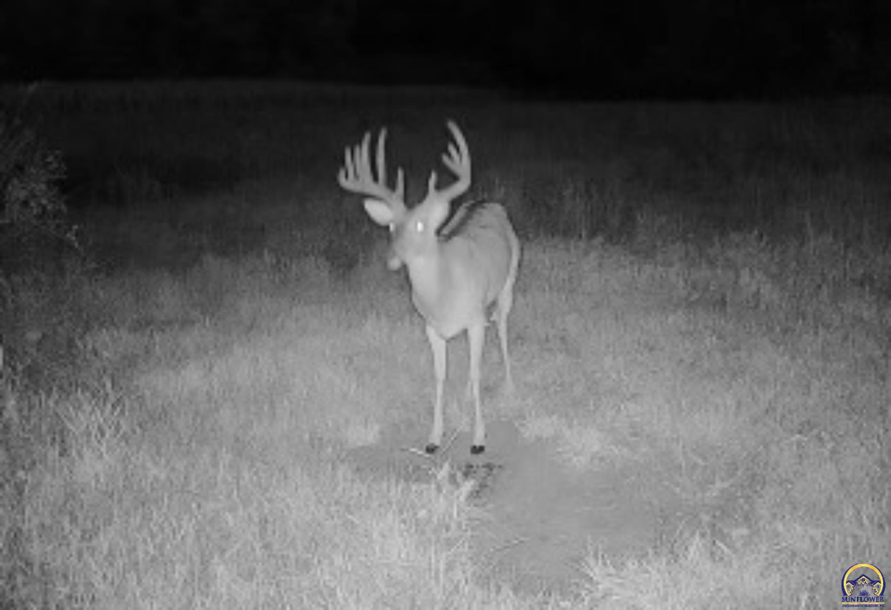 Berryton, Kansas 66409, United States, ,Residential,Pending,54765