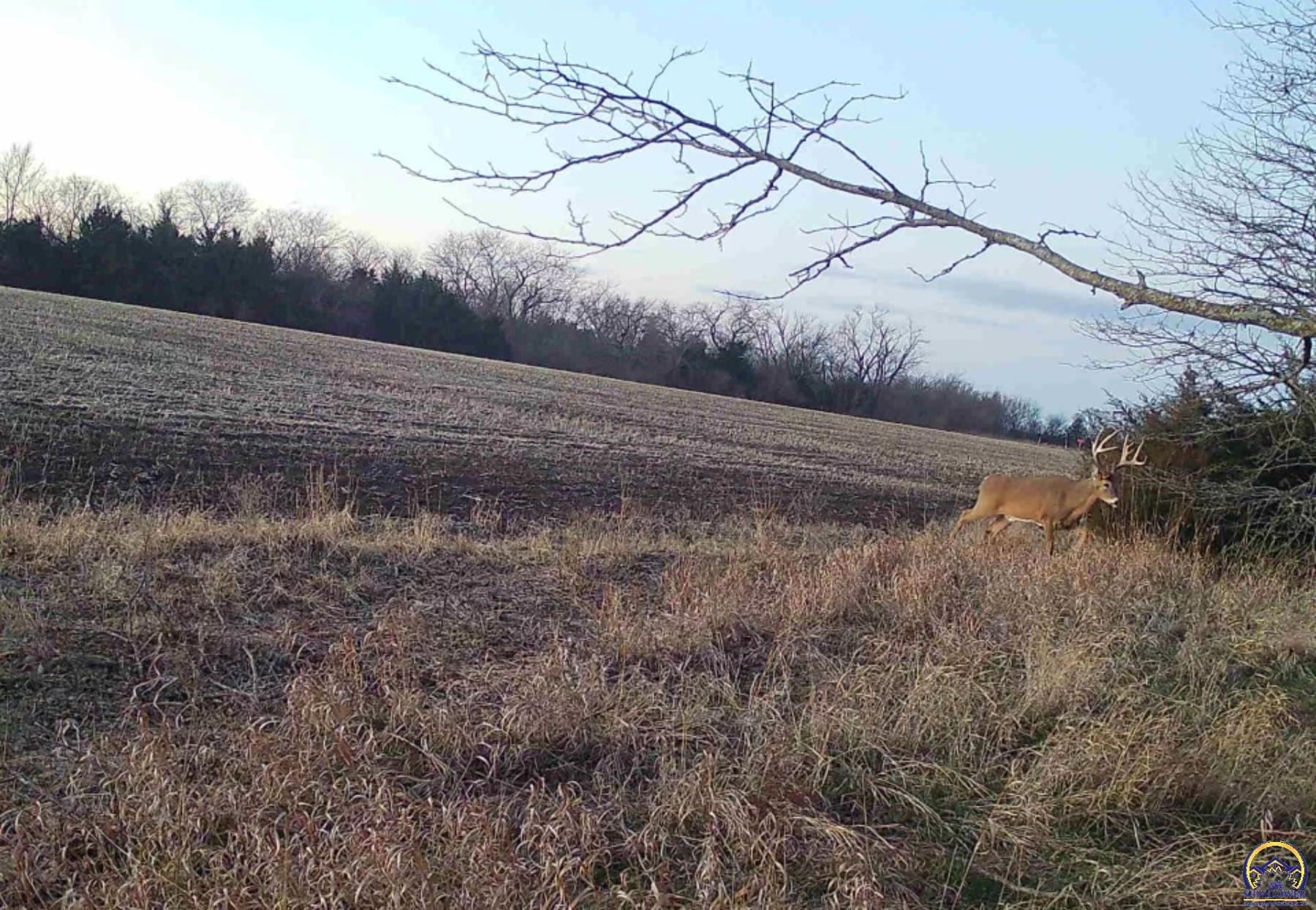 Berryton, Kansas 66409, United States, ,Residential,Pending,54765