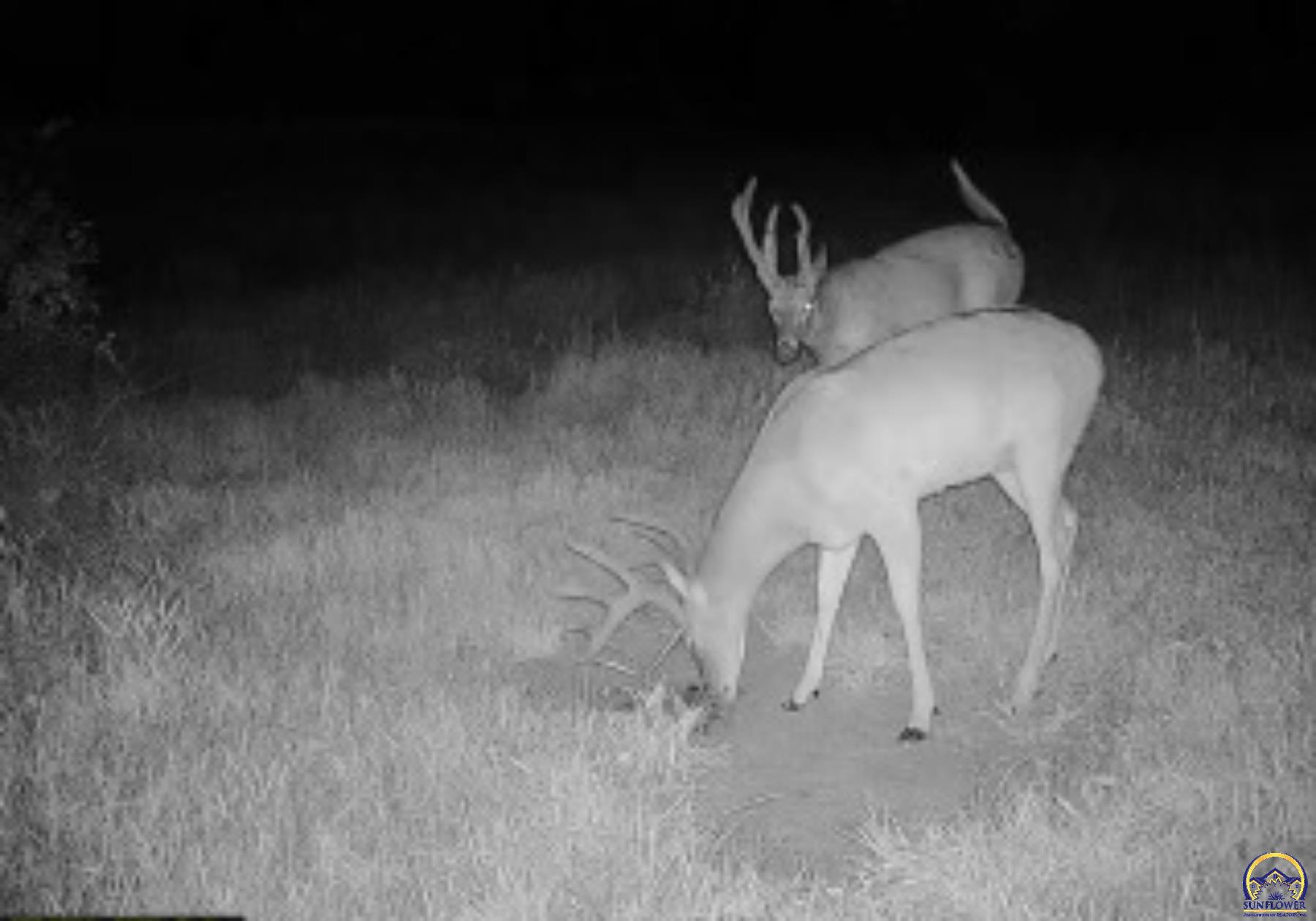 Berryton, Kansas 66409, United States, ,Residential,Pending,54765