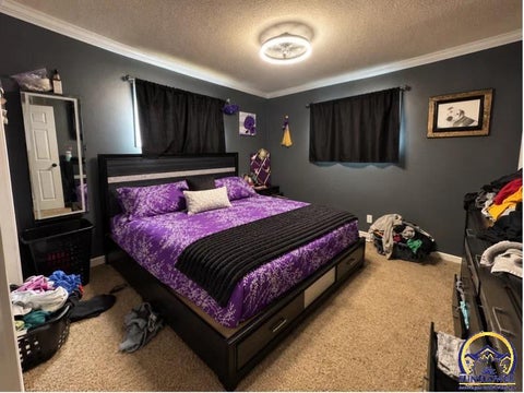 Tiny photo for 207 Osage Ave, Hiawatha, KS 66434 (MLS # 246811)