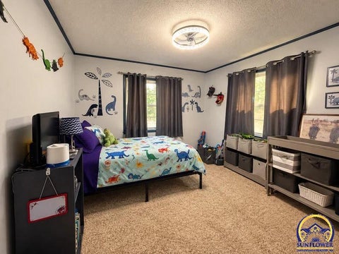 Tiny photo for 207 Osage Ave, Hiawatha, KS 66434 (MLS # 246811)