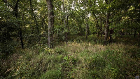 Tiny photo for 00000 150th Rd, Emmett, KS 66422 (MLS # 246686)