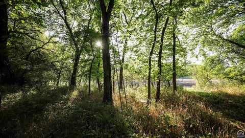 Tiny photo for 00000 150th Rd, Emmett, KS 66422 (MLS # 246686)