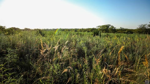 Tiny photo for 00000 150th Rd, Emmett, KS 66422 (MLS # 246686)
