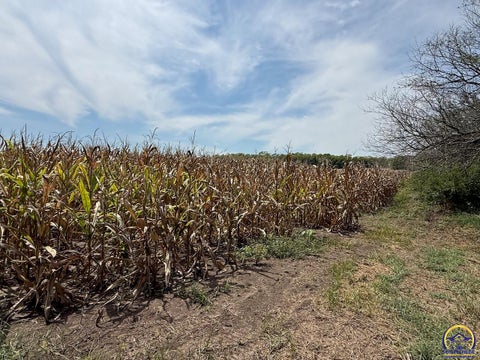 Tiny photo for 0000 W 161st St, Scranton, KS 66537 (MLS # 246270)