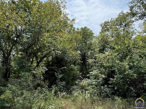 Tiny photo for 0000 W 161st St, Scranton, KS 66537 (MLS # 246270)