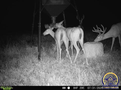 Tiny photo for 0 S Adams Rd, Lyndon, KS 66451 (MLS # 246030)