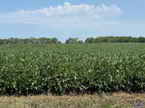 Tiny photo for 0 S Adams Rd, Lyndon, KS 66451 (MLS # 246030)
