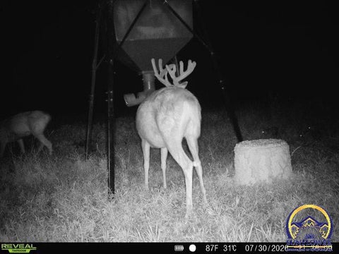 Tiny photo for 0 S Adams Rd, Lyndon, KS 66451 (MLS # 246030)