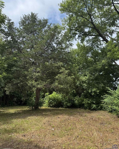 Photo of 1215 SE Lime St, Topeka, KS 66607 (MLS # 245238)