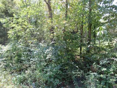 Tiny photo for 0000 Crescent Rim Dr #Lots 26 and 27, Ozawkie, KS 66070 (MLS # 246706)