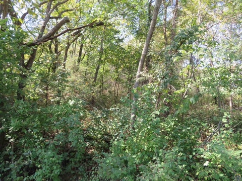 Photo of 0000 Crescent Rim Dr #Lots 26 and 27, Ozawkie, KS 66070 (MLS # 246706)