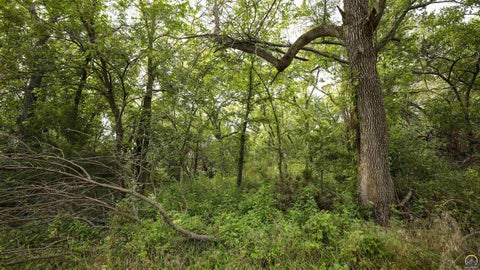 Tiny photo for 00000 SW Davis Rd, Auburn, KS 66402 (MLS # 246460)