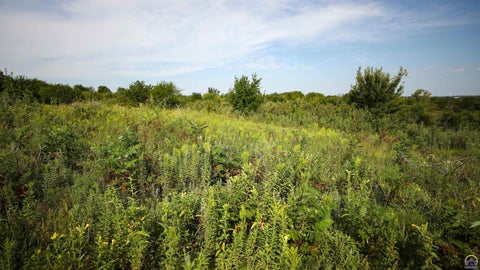 Tiny photo for 00000 SW Davis Rd, Auburn, KS 66402 (MLS # 246460)