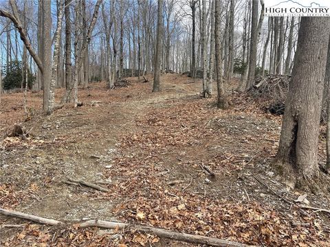 Photo of 13 Jackson Ridge Road, Boone, NC 28607 (MLS # 259613)