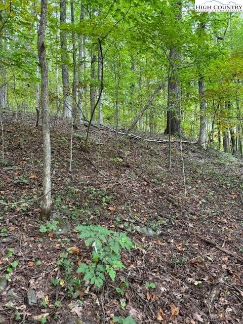 Photo of Lot 770 TBD Ivy Court, Creston, NC 28615 (MLS # 258197)