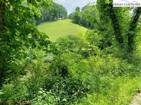 Photo of 2403 Old Watauga River Road, Sugar Grove, NC 28679 (MLS # 235677)