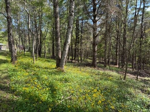 Photo of TBD (1 acre) Crestview Drive West, Creston, NC 28615 (MLS # 261255)