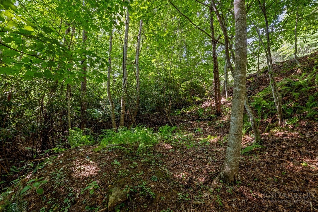 Lot 43 Sunset Drive