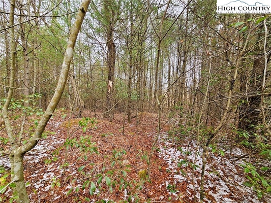 ADDRESS PRIVATE, LANSING, NC 28643 - Image 01cab0f911bbad7672f82a6735dca10f/3660006525