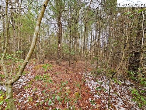 Photo of TBD W Mill Creek Rd, Warrensville, NC 28643 (MLS # 260543)