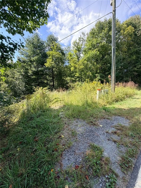 Photo of 101 Pleasant Home RD, Sparta, NC 28675 (MLS # 264380)