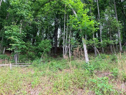 Photo of TBD N Marley Ford Road, Ferguson, NC 28624 (MLS # 262323)