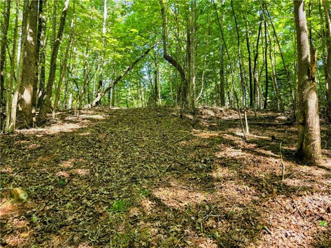 Photo of Lot 2B Brightwood Trail, Deep Gap, NC 28618 (MLS # 263550)