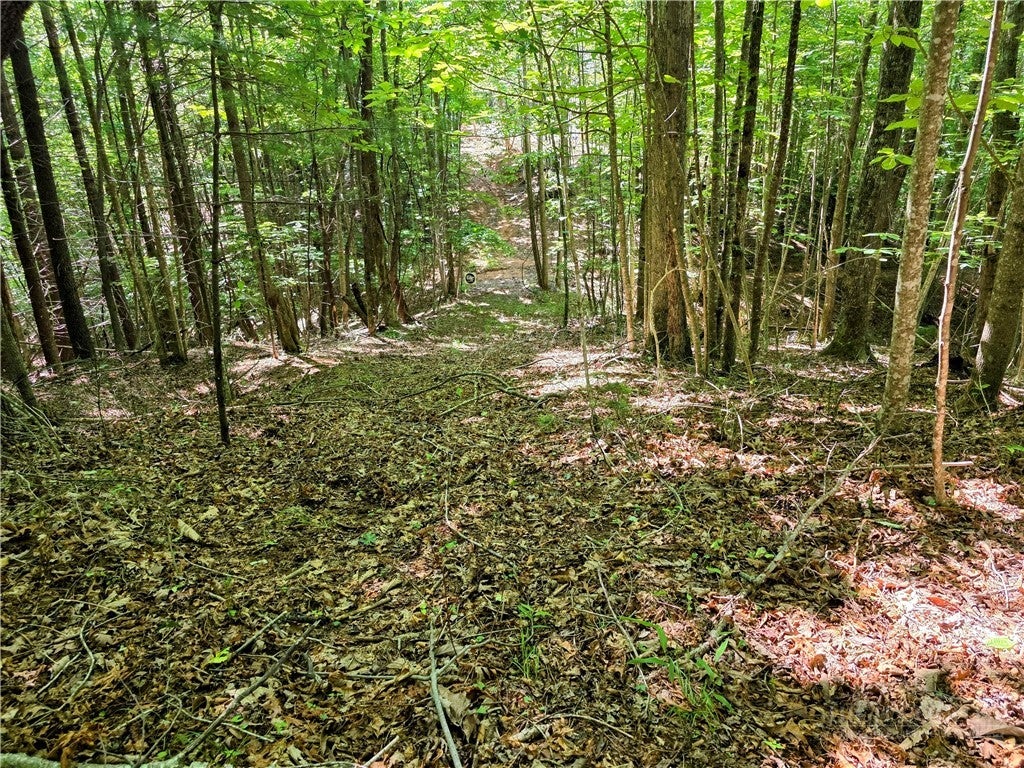 Lot 2B Brightwood Trail