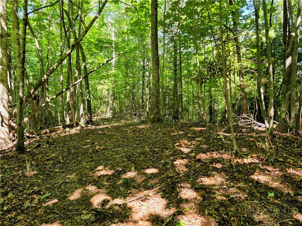Lot 2B Brightwood Trail