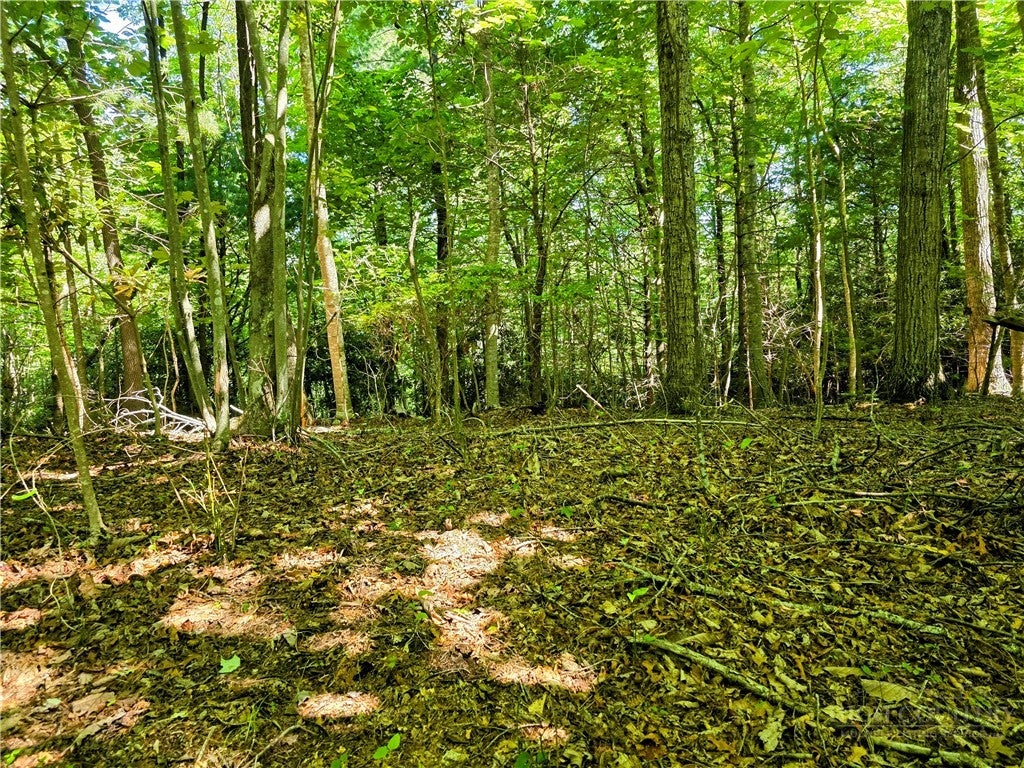 Lot 2B Brightwood Trail