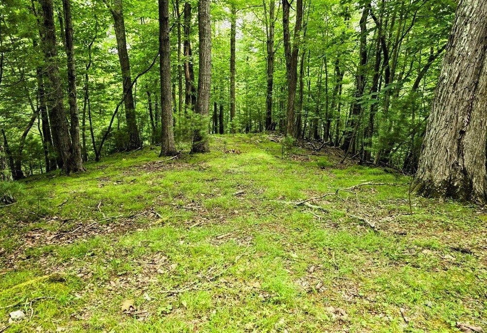 Lot 2B Brightwood Trail