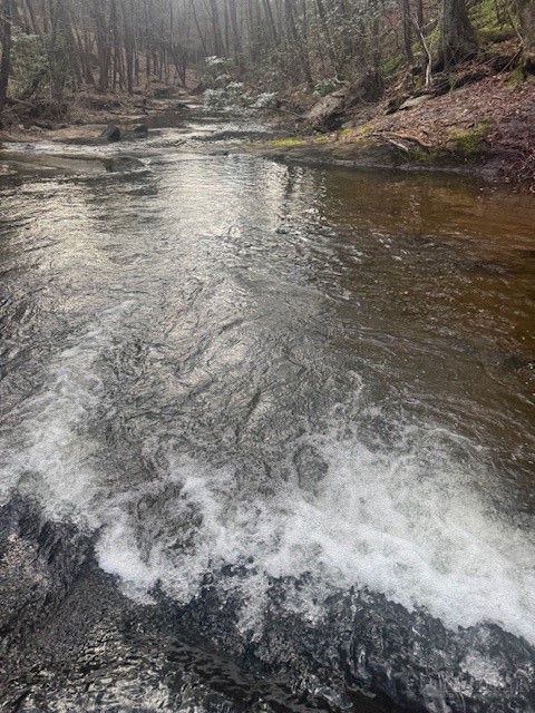 Photo of 637 Monticello Drive, West Jefferson, NC 28694 (MLS # 260979)