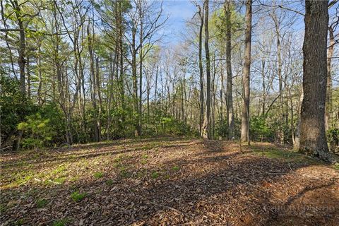 Photo of TBD Man O War Drive, Vilas, NC 28692 (MLS # 260816)