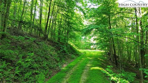 Vacant Land For Sale - LOT 13 Larkspur Road<br/> Avery County, Beech Mountain, NC 28622