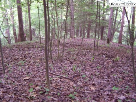Photo of Tbd Powder Horn Mountain Road #N/A, Deep Gap, NC 28618 (MLS # 256680)