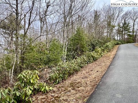 Photo of TBD Chestnut Mountain Road, Banner Elk, NC 28604 (MLS # 254197)
