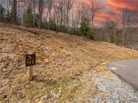 Photo of Lot 91 Featherwood Trail, Banner Elk, NC 28604 (MLS # 261168)